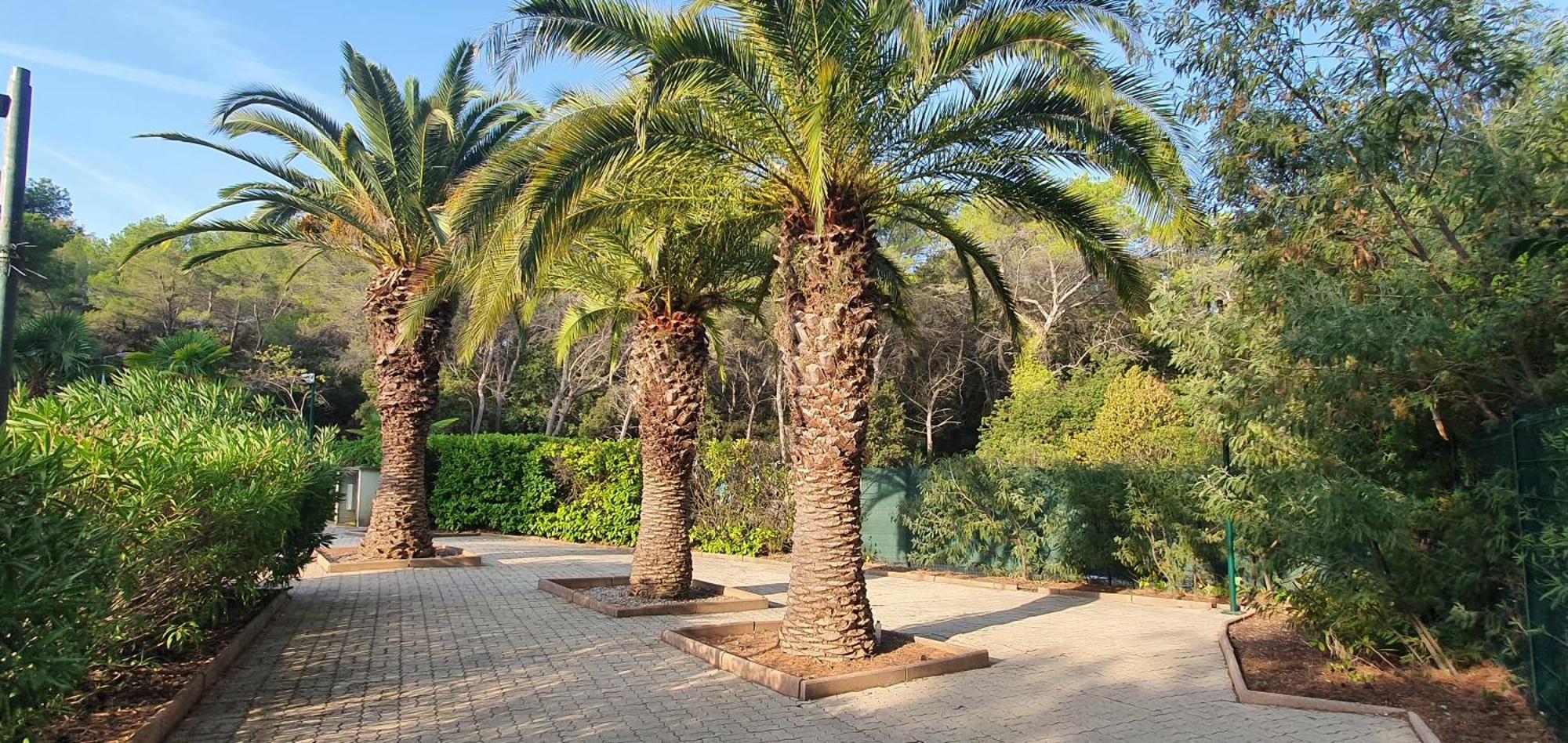 Villa Harmony Валлорис Экстерьер фото